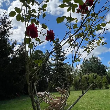 Le Petit Chateau Bed & Breakfast Baye (Marne)