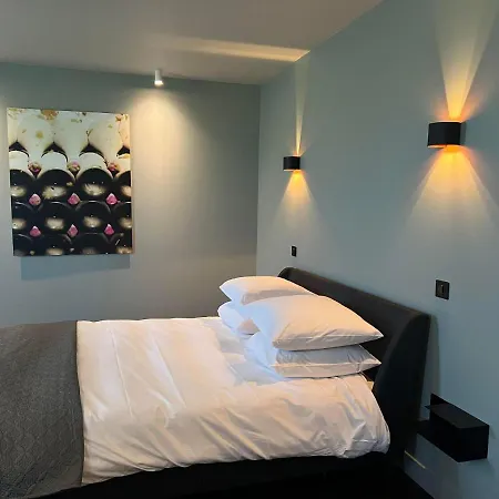Bed & Breakfast Le Petit Chateau Baye (Marne)