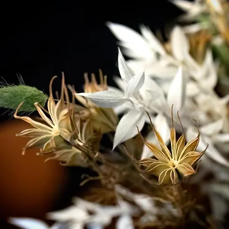 Le Petit Chateau Bed & Breakfast 3*