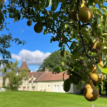 Bed & Breakfast Le Petit Chateau 3*