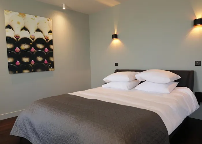 Le Petit Chateau Baye (Marne)