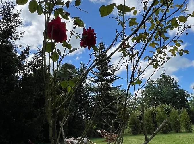 Le Petit Chateau B&B Baye (Marne)