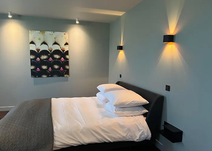 Bed & Breakfast Le Petit Chateau Baye (Marne)