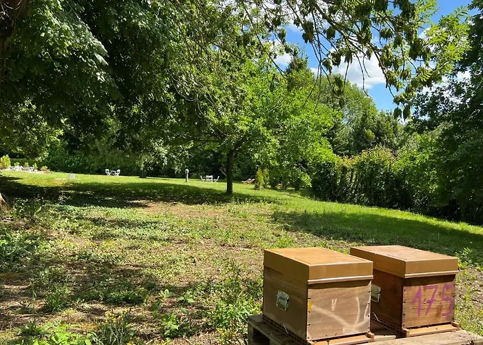 B&B Le Petit Chateau