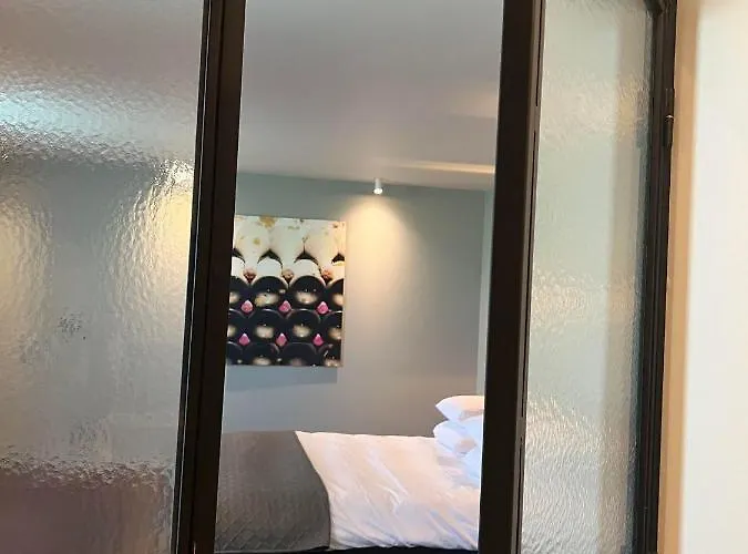 Le Petit Chateau B&B Baye (Marne)