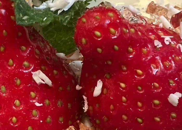 B&B Le Petit Chateau Baye (Marne)